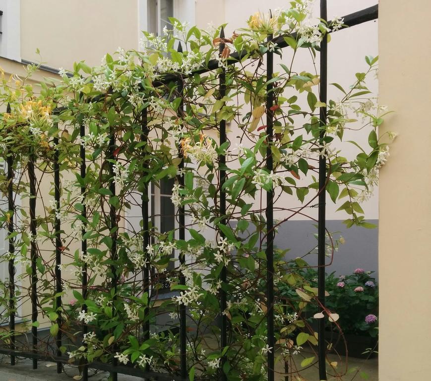 La Cour Du 5Eme - Chambre D'Hotes Париж Екстериор снимка